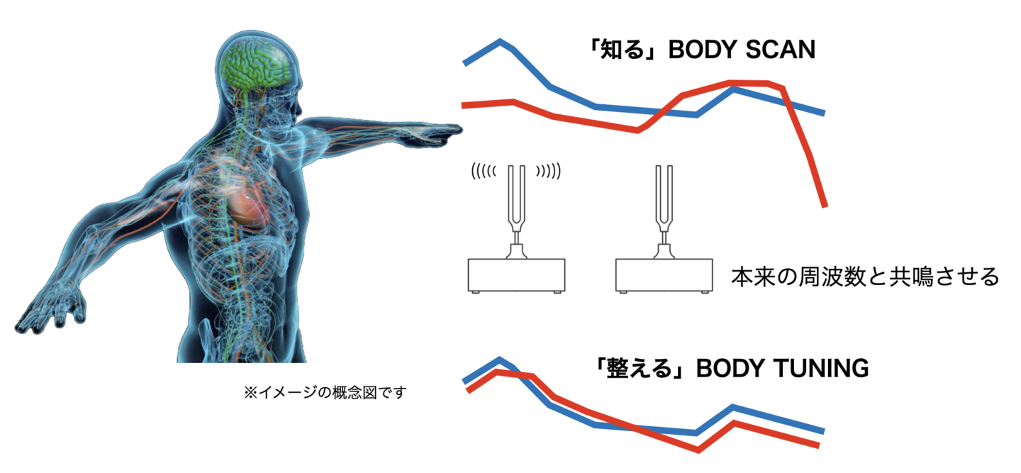 概念図