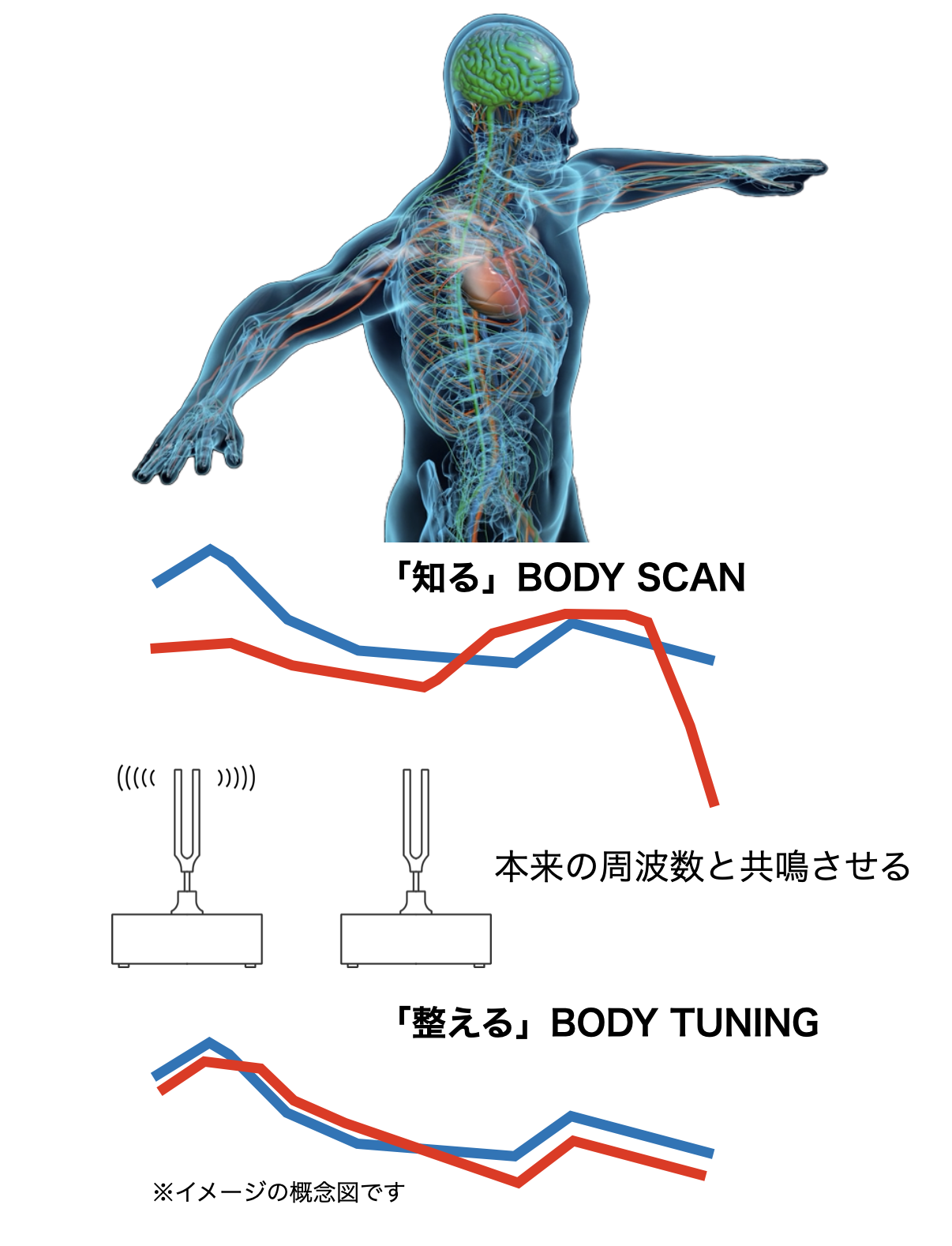 概念図